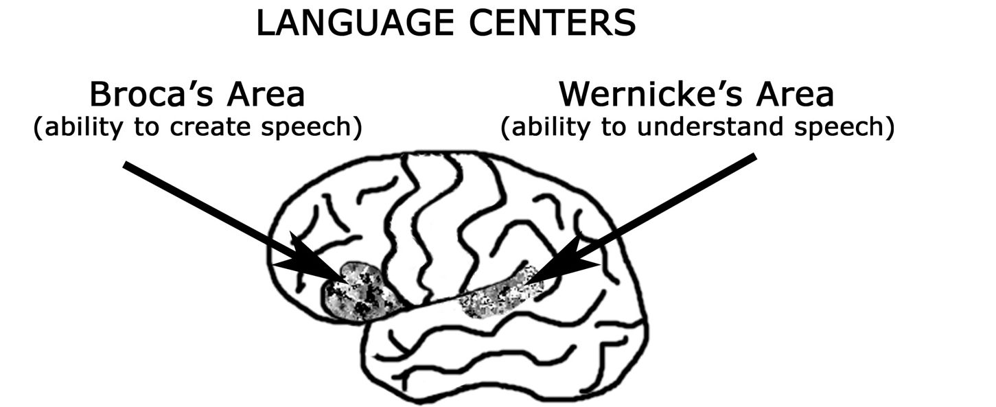 LANGUAGE CENTERS: Trung tâm ngôn ngữ